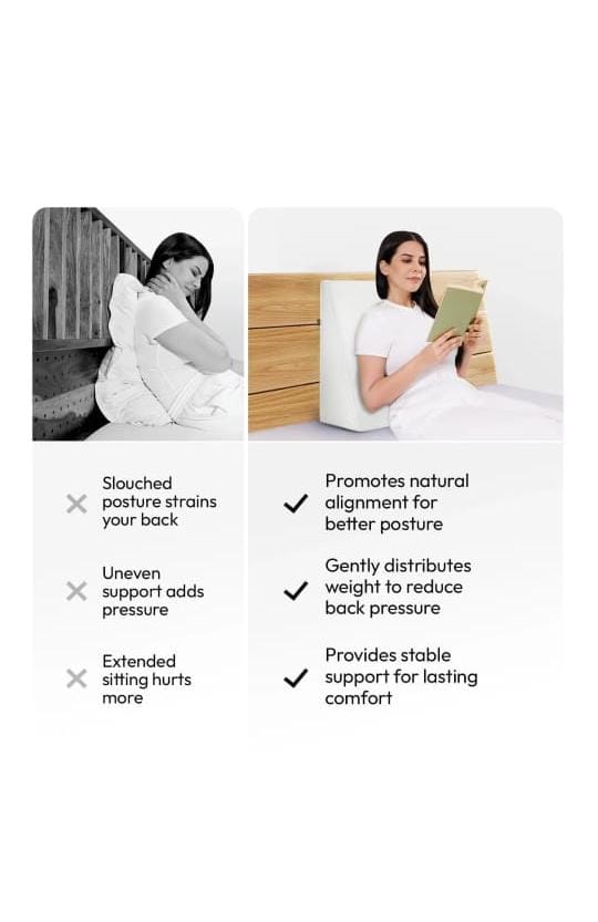 Back & Lumbar Support pillow