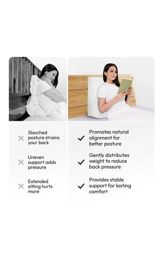 Back & Lumbar Support pillow